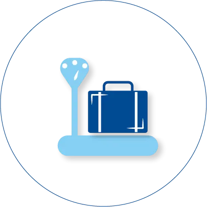 Bagages en cabine